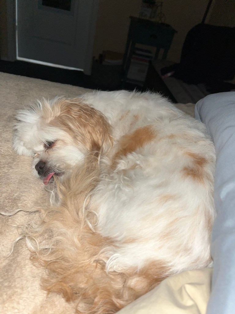 The current image has no alternative text. The file name is: img_1991.jpeg